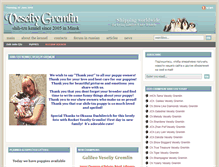 Tablet Screenshot of eng.veseliygremlin.com